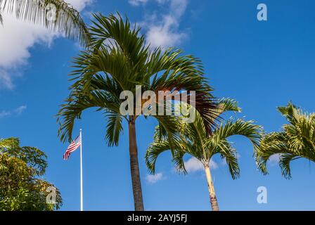Oahu, Hawaii, USA. - January 10, 2012: US Flag and palm trees against blue sky at United In Sacrifice group statue at Schofield Barracks of Army 25th Stock Photo