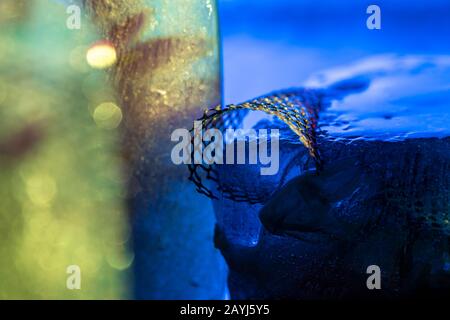 Illuminated ice block rich in frozen texture - contemporary abstract macro background in blue tones Stock Photo