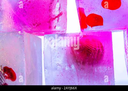 Frozen colour abstract - Colourful illuminated ice cubes composition against white background Stock Photo