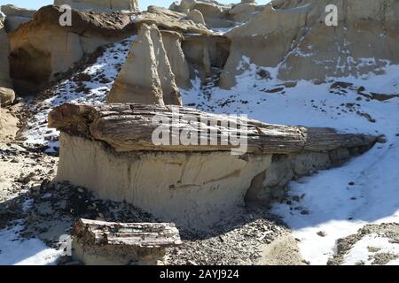 petrified wood in Bisti Badlands Valley of Dreams New Mexico USA Stock Photo