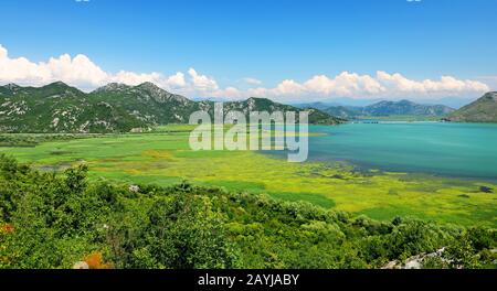 lake Skadar, Virpazar bay, Montenegro, Skadarsee National Park Stock Photo