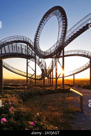 Tiger and Turtle – Magic Mountain, art installation and landmark in Angerpark, Germany, North Rhine-Westphalia, Ruhr Area, Duisburg Stock Photo
