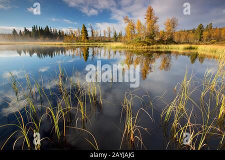 Morning haze in Oppdal, Norway, Trondelag, Oppdal, Ottadalen Stock Photo