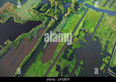 aerial view of Blankaart nature reserve, Belgium, West Flanders, De Blankaart, Diksmuide Stock Photo