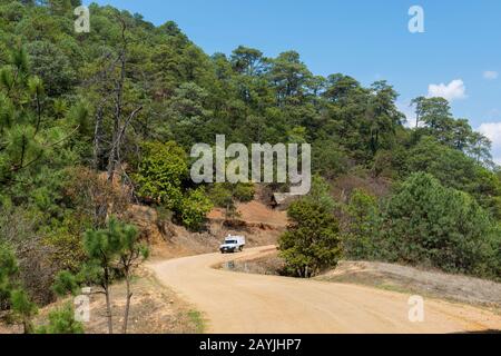 A gravel road in the hills covered with Ponderosa pine trees near the Mixtec village of San Juan Contreras near Oaxaca, Mexico. Stock Photo