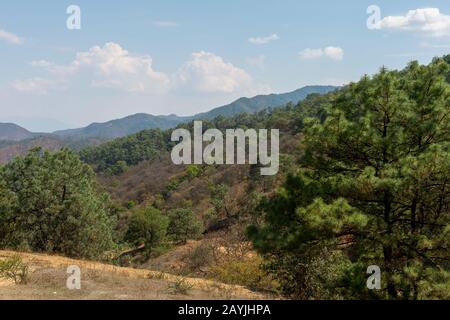 Hills with Ponderosa pine trees near the Mixtec village of San Juan Contreras near Oaxaca, Mexico. Stock Photo