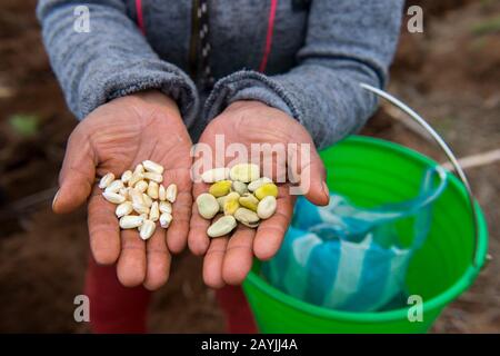 Juan contreras hi-res stock photography and images - Alamy