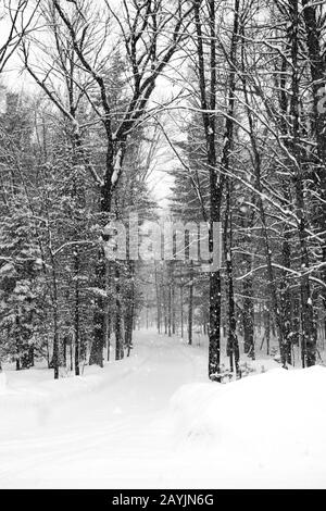 Snow covered road  in a February snowstorm in Wausau, Wisconsin getting one to two inches an hour, black & white vertical Stock Photo