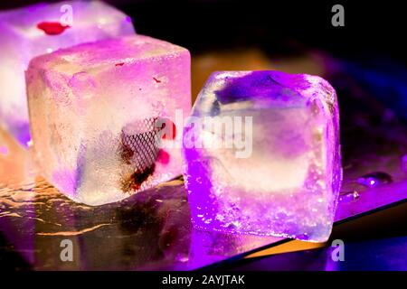 Illuminated ice cubes on glass - creative abstract background in vivid magenta tones Stock Photo