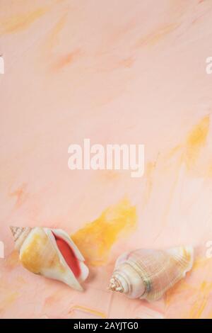 Sea shells on pink pastel background backround, copy space. Flat lay, top view, social media hero header template. Sea vacation and summer holidays Stock Photo