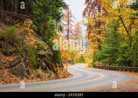 Fall Foliage along winding Generals Highway leading to Giant Forest in Sequoia National Park, California. Stock Photo