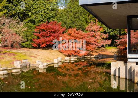 Osaka, Japan - December 2019 : Maple Trees and Stone Pavilion with Perfect Water Reflection in Japanese Garden Stock Photo