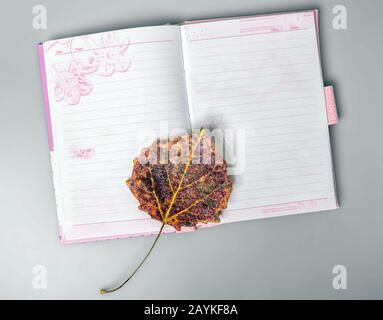 The dried sheet lies on an open notebook. Notebook for notes. Office. Stock Photo
