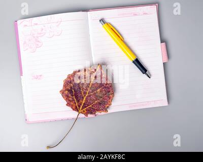 The dried sheet and pen lie on an open notebook. Notebook for notes. Office. School supplies. Place for text. View from above. Stock Photo