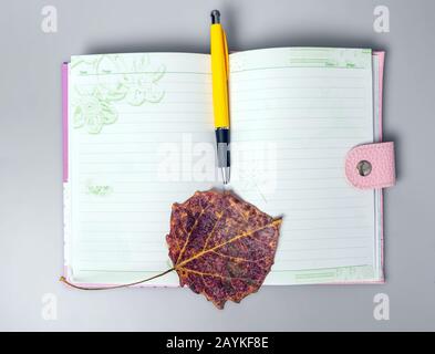 The dried sheet and pen lie on an open notebook. Notebook for notes. Office. School supplies. Place for text. View from above. Stock Photo