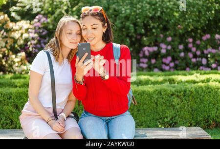 Woman friends sharing smart phone content outdoors in park Stock Photo