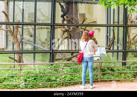18 MAY 2018, BERLIN, GERMANY: young child kid with mother looking at monkey in the Zoo