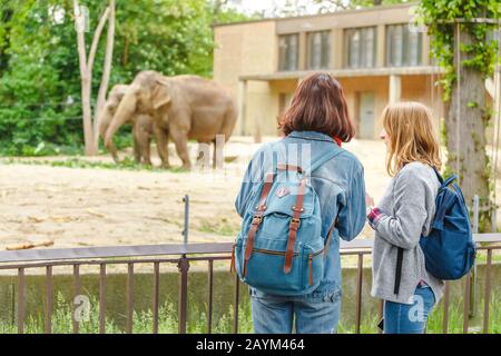 Two girls friends students watching at elephant family feeding in the zoo Stock Photo