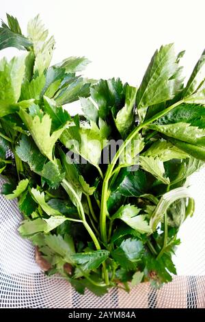 Fresh Celery in a Basket Stock Photo