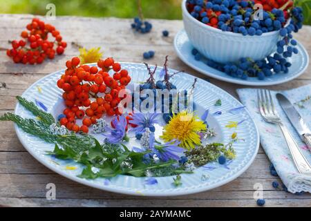 Yarrow, Common yarrow (Achillea millefolium), plate with mountain grapes and rowan tree berries, decoratet with flowers of dandelion, Yarrow and blue sailors, Germany Stock Photo