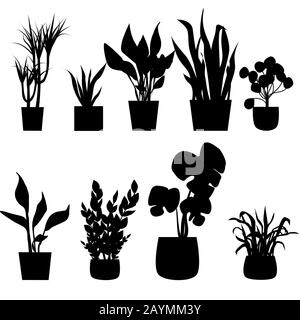 Set of silhouettes house plants in pots. Vector illustration Stock Vector