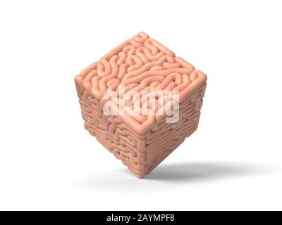 human brain in shape of cube. suitable for brain, biology, medicine, science and font themes. 3D illustration of cubic brain Stock Photo