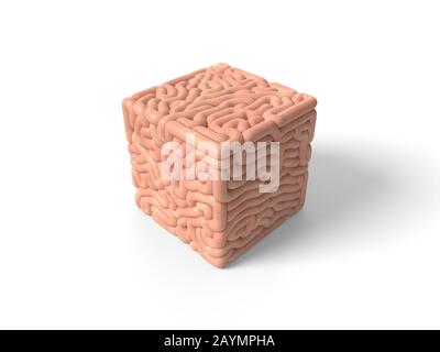 human brain in shape of cube. suitable for brain, biology, medicine, science and font themes. 3D illustration of cubic brain Stock Photo