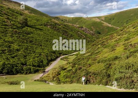 A lone walker on a path in Carding Mill Valley on the Long Mynd near Church Stretton in the Shropshire Hills, England, UK Stock Photo