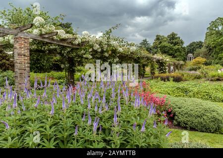 Flower beds and pergola,The Royal Botanic Gardens, Kew, Surrey,  London Borough of Richmond upon Thames, England. Stock Photo