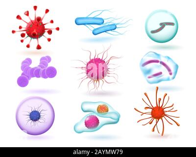 Various microscopic 3d bacteria and viruses. Microbiology vector ...