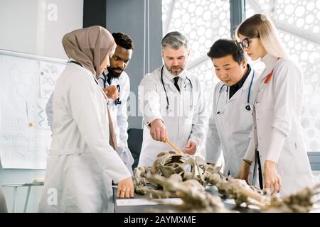 Mature male Caucasian teacher in class, holding a pencil and teaching human skeleton anatomy, using artificial skeleton model to explain structure of Stock Photo
