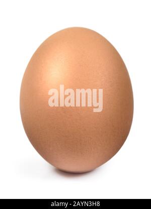 Single brown chicken egg isolated on white background with clipping path. Cut out object. Stock Photo