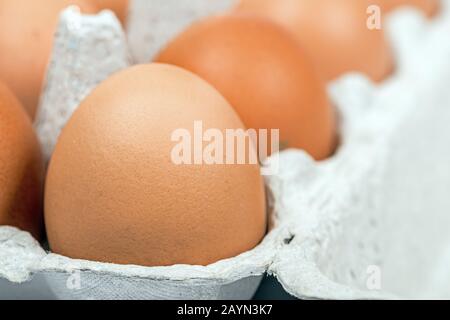 Brown eggs in the cardboard package macro view Stock Photo