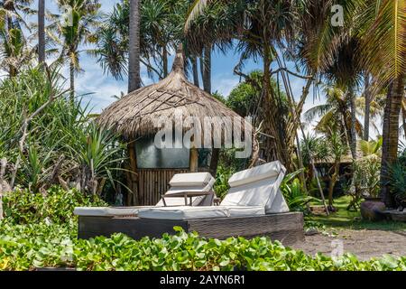 Sun loungers and white fabric umbrellas, little huts with thatched roofs under the palm trees on the beach. Bali, Indonesia. Stock Photo