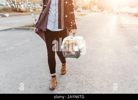 A woman is transporting a cat in a special plastic cage or carrying bag to a veterinary clinic Stock Photo