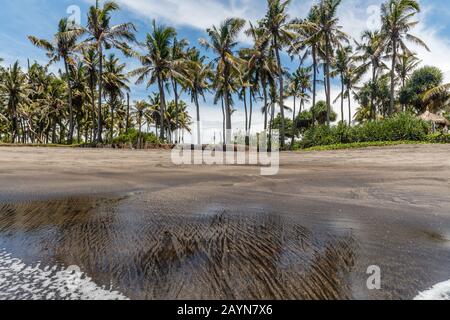 View of Pantai Babadan (Babadan beach), Canggu, Bali, Indonesia. Volcanic black sand, ocean waves, palm trees. Stock Photo