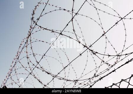 private property and prison concept. barbed wire against blue sky Stock Photo