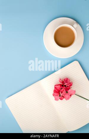White open notebook for notes, white cup of coffee with milk, pink spring flower. on a blue background, place for text, copy space. Top view. Flat lay Stock Photo
