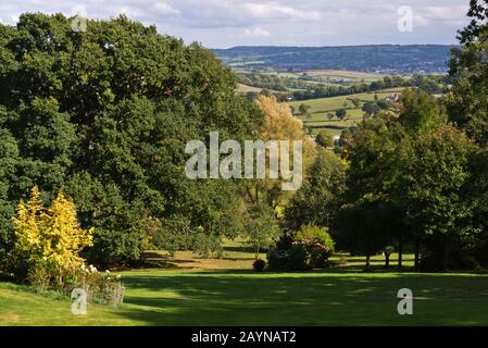 trees showing their autumnal colours at Burrow Farm Gardens (also known ...