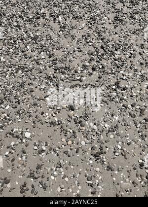 Background image: small sea pebbles on the beach Stock Photo