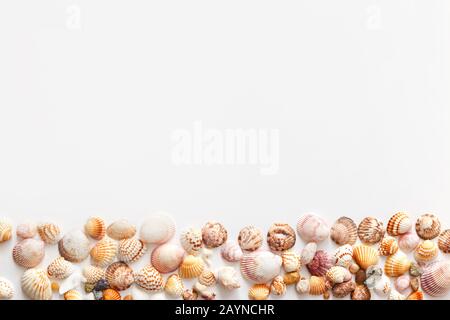 Seashells in bottom of image with copy space, isolated on white background, top view Stock Photo