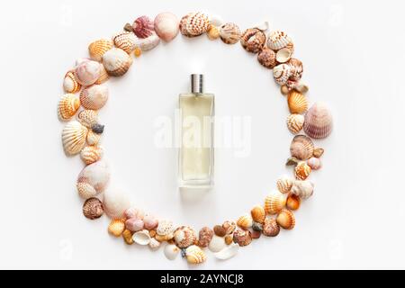Perfume bottle in frame made of seashells isolated on white, top view, flat lay Stock Photo