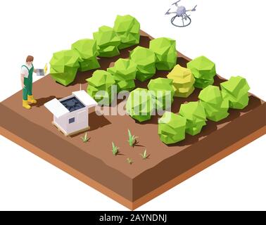 Vector isometric agricultural drone inspecting crop field Stock Vector