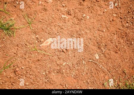 Earth Ground Soil Brown Color Background Stock Photograph Image Stock Photo