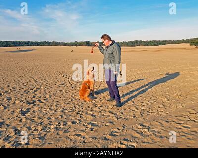 Man playing with his dog at the nature reserve Soesterduinen in the Netherlands Stock Photo