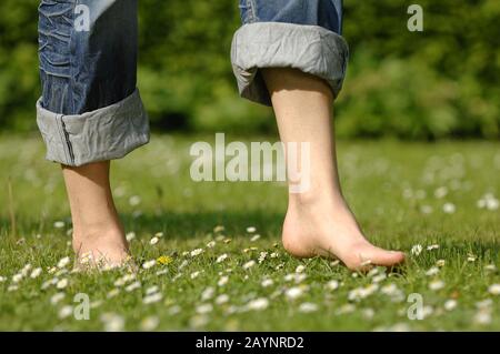Beine Stock Photo
