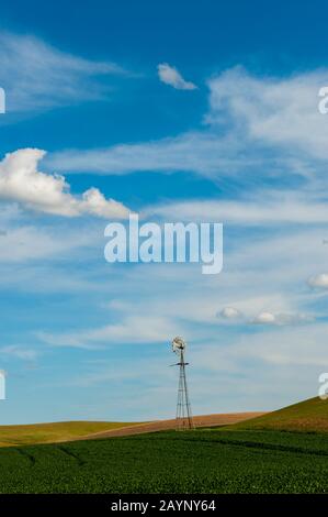 Windmill in fields with blue sky and clouds near Pullman in the Palouse, Eastern Washington State, USA. Stock Photo