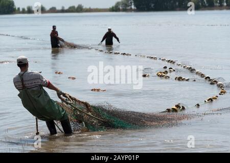 Fishermеn drag and trawls the fishing net with fish in the river, Astrakhan  Region, Russia Stock Photo - Alamy