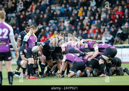 Newcastle, UK. 15th Jan, 2019. NEWCASTLE UPON TYNE, ENGLAND - FEBRUARY 16TH A scrum goes down during the Greene King IPA Championship match between Newcastle Falcons and Cornish Pirates at Kingston Park, Newcastle on Sunday 16th February 2020. (Credit: Chris Lishman | MI News) Credit: MI News & Sport /Alamy Live News Stock Photo