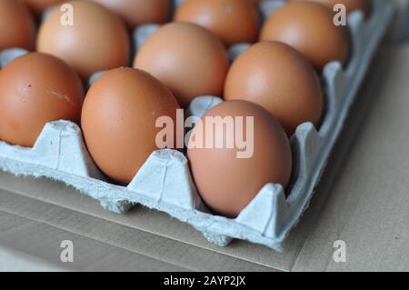 View of an opened box of brown chicken eggs for a market place or store. A pack of ten raw chicken eggs for food or other healthy food. Stock Photo